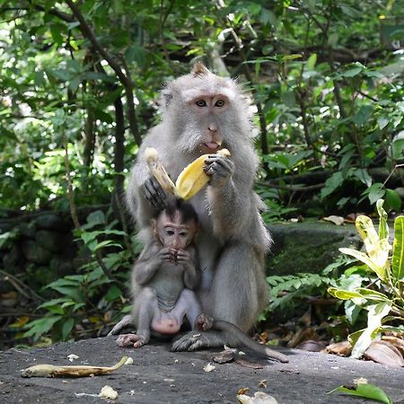 Pondok Penestanan Villa Ubud Exteriör bild
