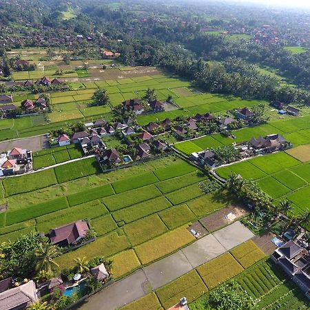 Pondok Penestanan Villa Ubud Exteriör bild